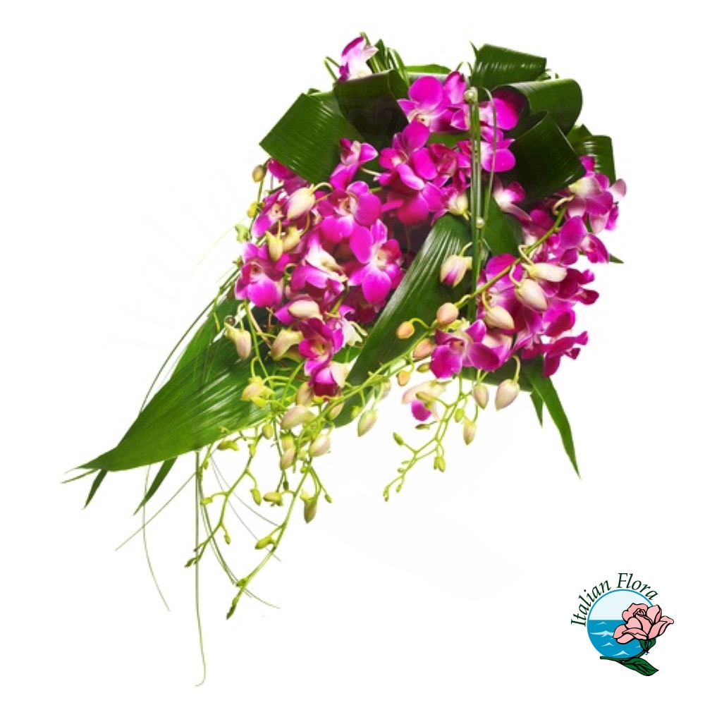 mazzo-di-orchidee-dendrobium_1000px Mazzo di orchidee dendrobium
