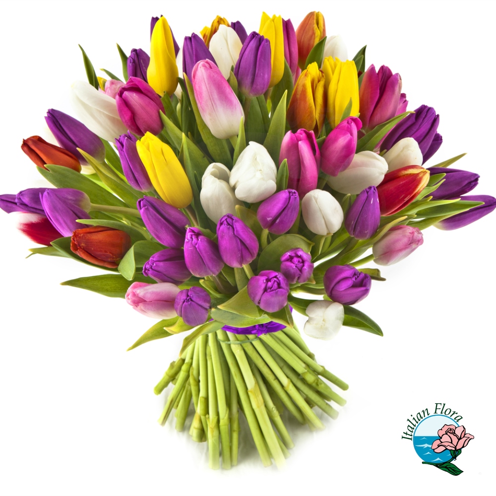 bouquet-tulipani-colorati_1000px Bouquet di tulipani