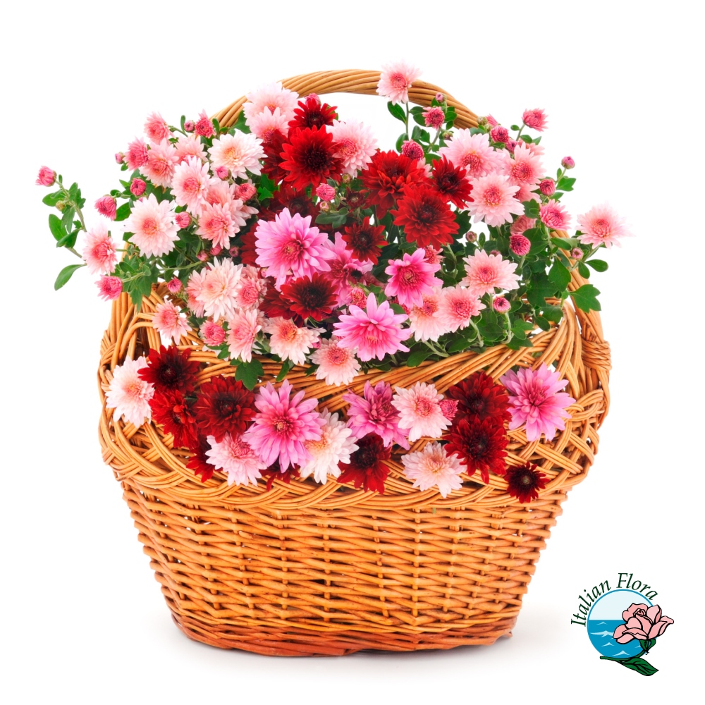66eb0aa2-d6f7-435e-bc66-c1700f2e8529_1000px Composizione in cesto di fiori colorati