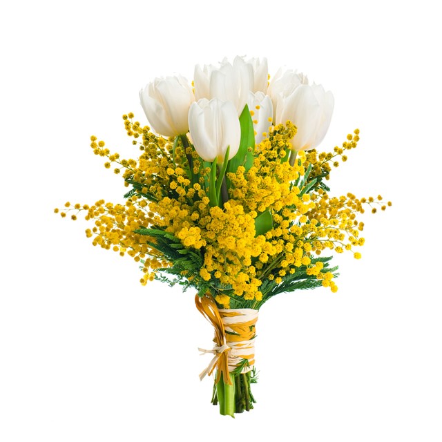Mazzo di mimosa e tulipani 1 Mazzo di mimosa e tulipani