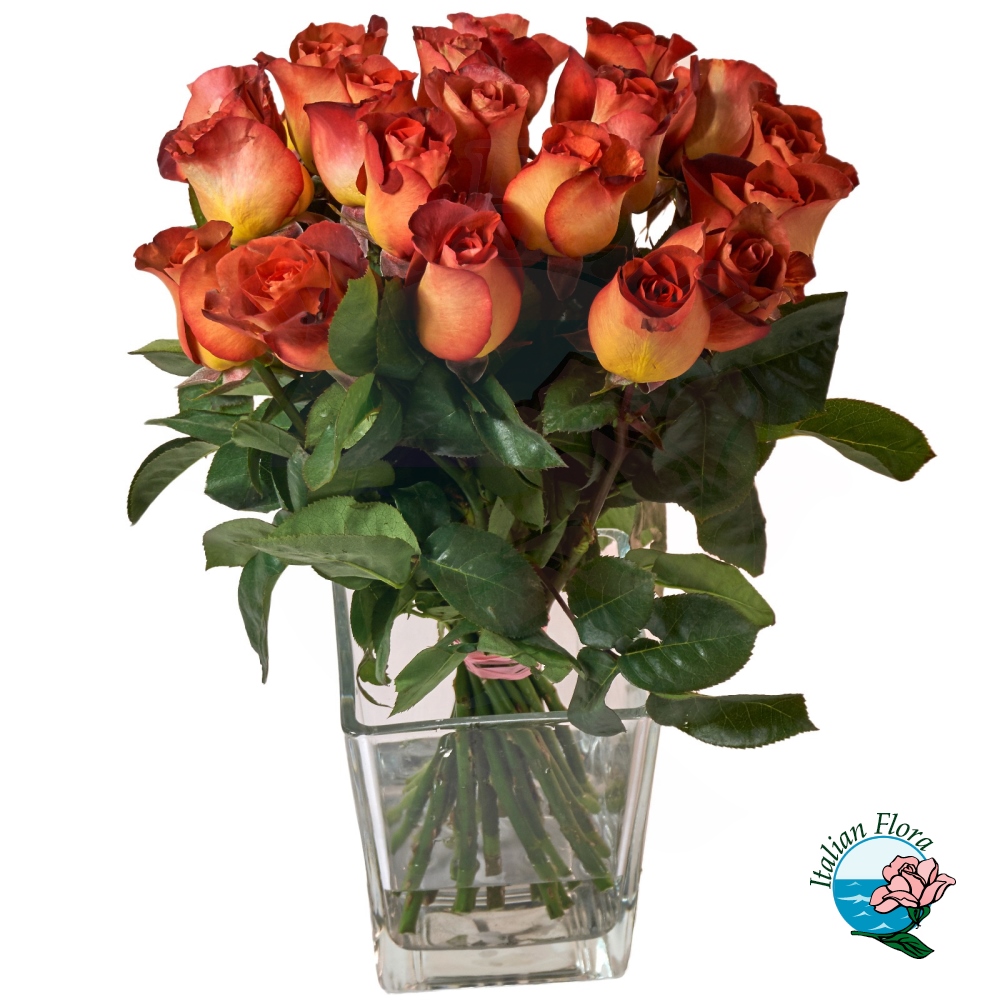 74032a69-468c-4efb-a913-d0fe1171780b_1000px Mazzo di 24 rose sfumate arancio