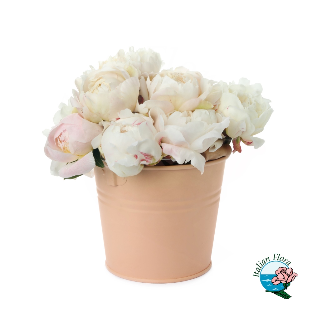 35_1000px Composizione di peonie in vaso