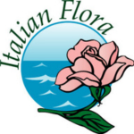 Fioristaonline